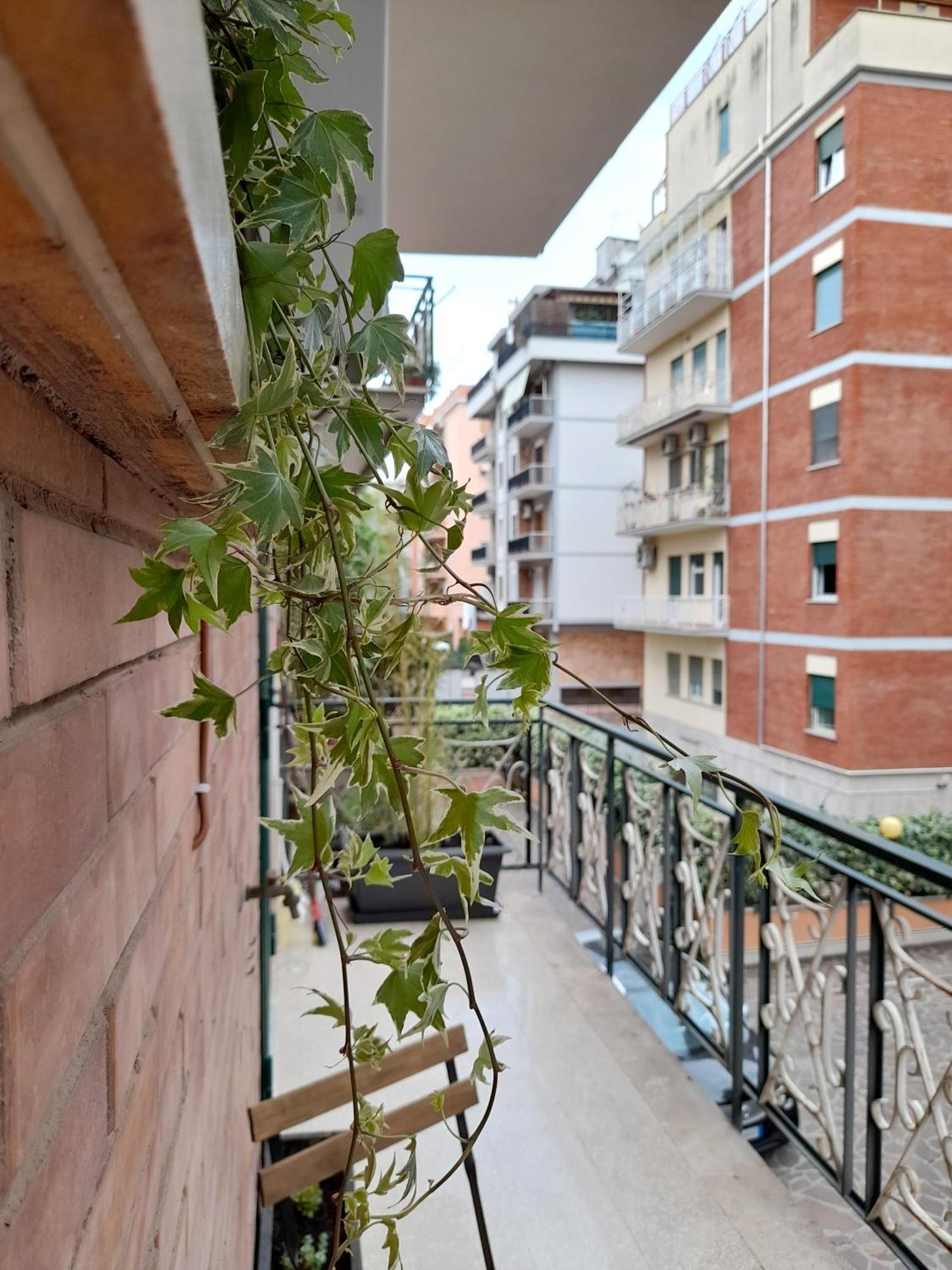 Amber House N.5 - Incantevole Accogliente Luminosa Roma Dış mekan fotoğraf
